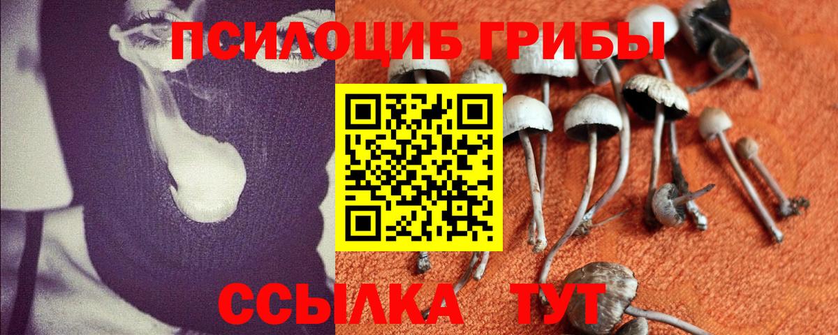 Псилоцибиновые грибы ЛСД Ялуторовск